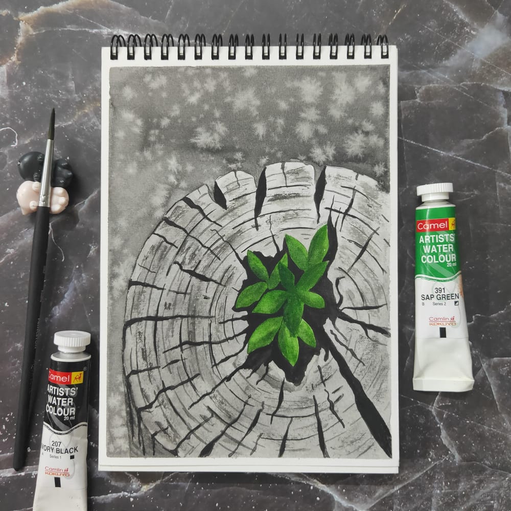 Colour Splash Fun!! - image 16 - student project