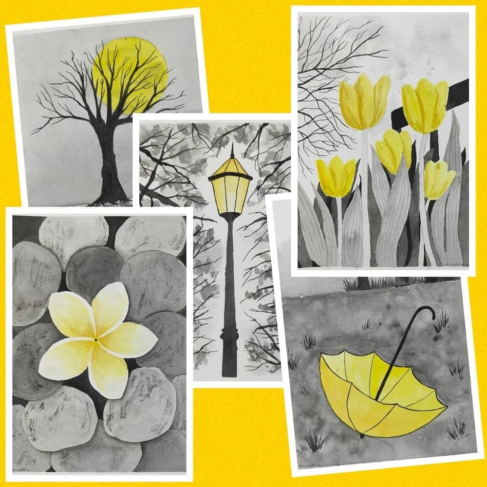 Colour Splash Fun!! - image 13 - student project
