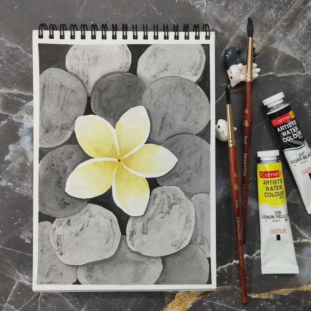 Colour Splash Fun!! - image 12 - student project