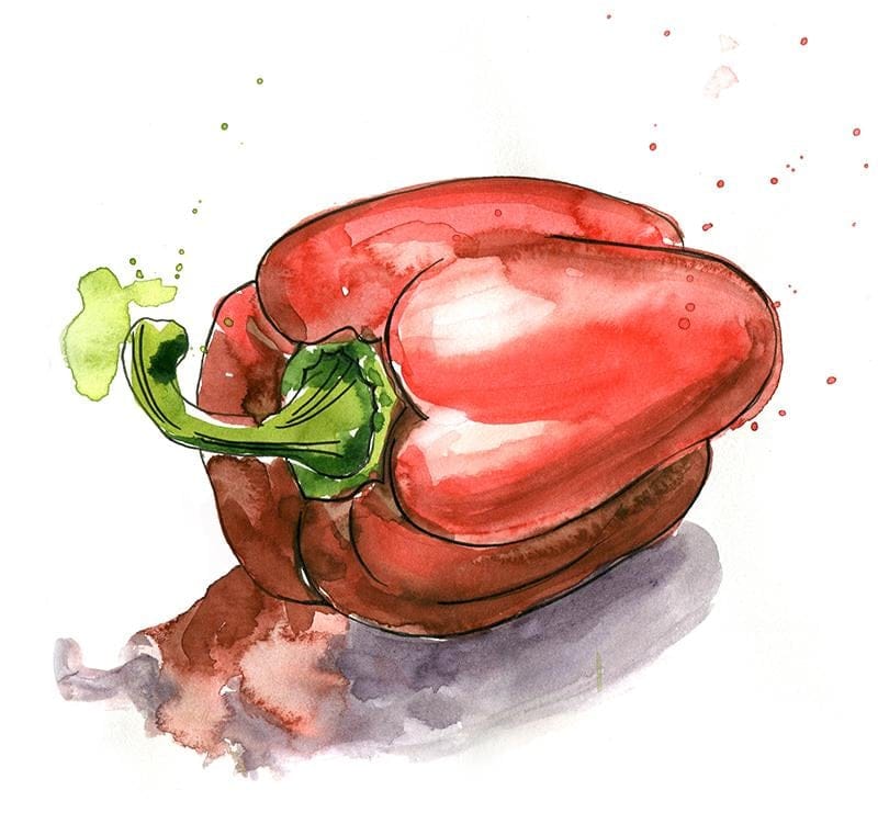 Daily Sketching and Painting - March - image 21 - student project