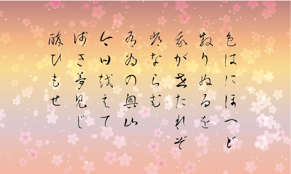 Transparent cherry blossoms - image 7 - student project