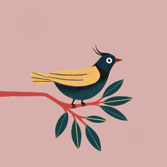 Singing bird - image 1 - student project