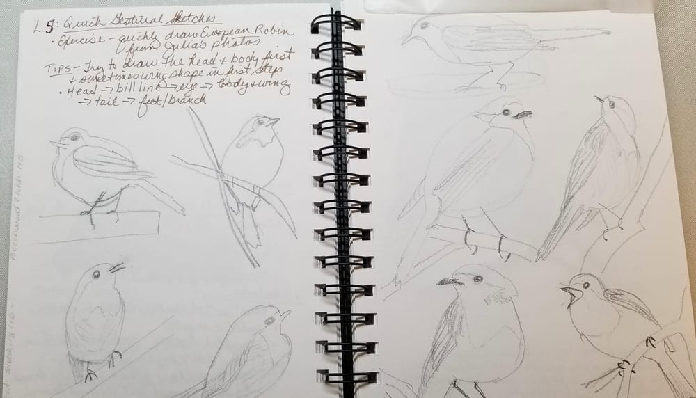 Bird Exercises - image 2 - student project