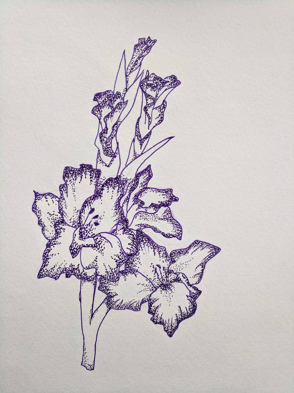 Dotwork Flowers! - image 1 - student project
