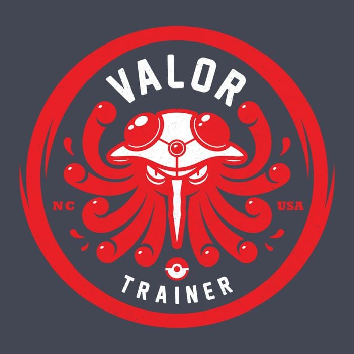Team Valor - Tentacruel - image 4 - student project