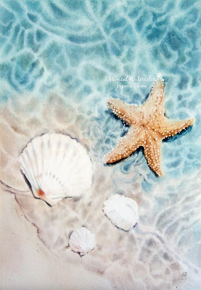 Clear Transparent Water With Shells And A Starfish, Mastering Drawing With Water - image 1 - student project