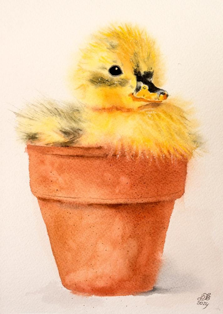 Hair, Fur and Down In Watercolor - Fluffy Duckling - image 1 - student project