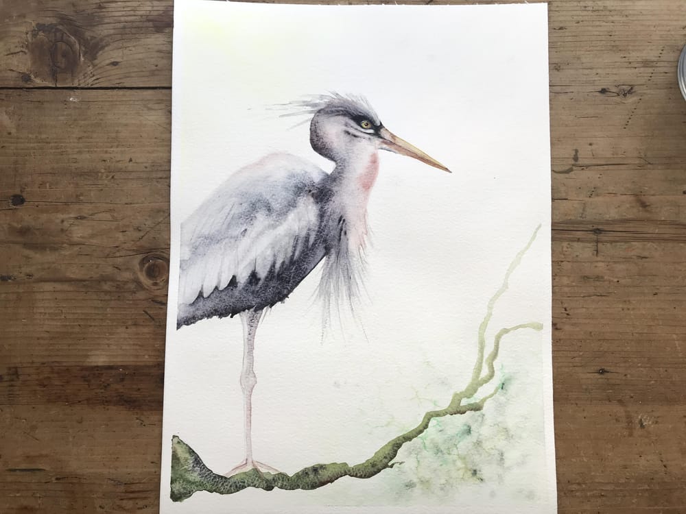 Mr heron - image 1 - student project