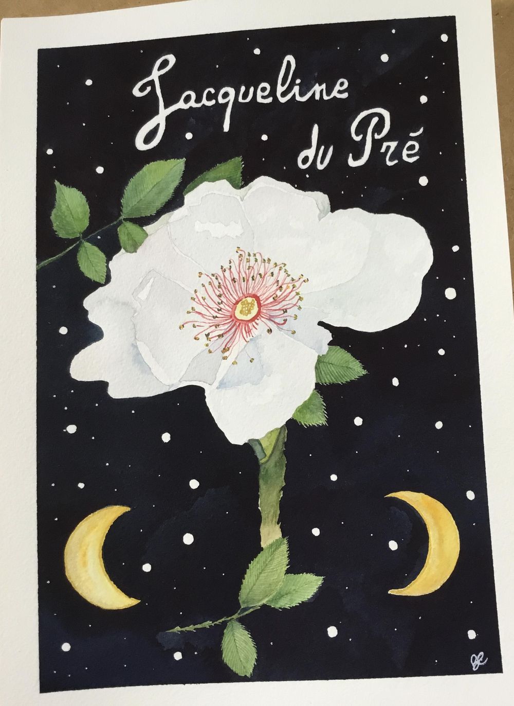 Roses collection - image 1 - student project