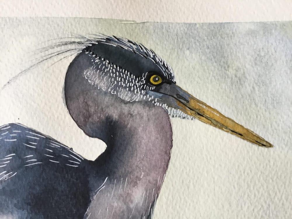 Vivid heron - image 6 - student project