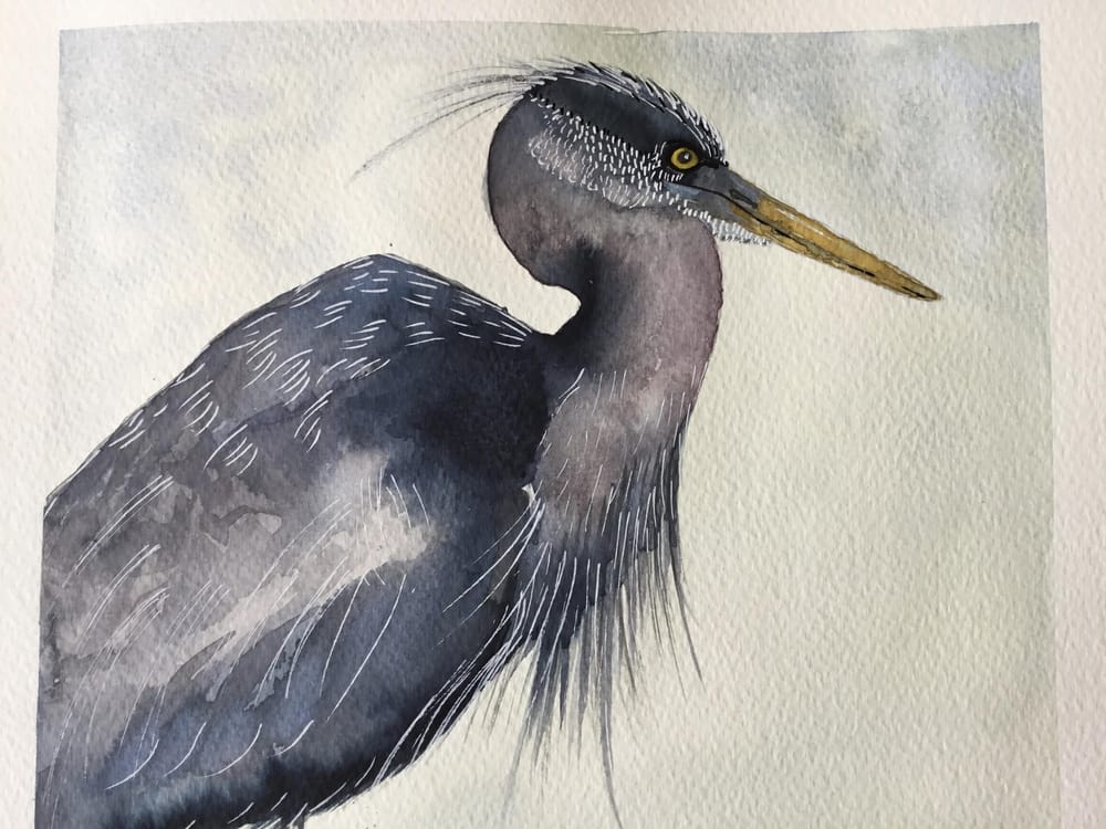 Vivid heron - image 4 - student project