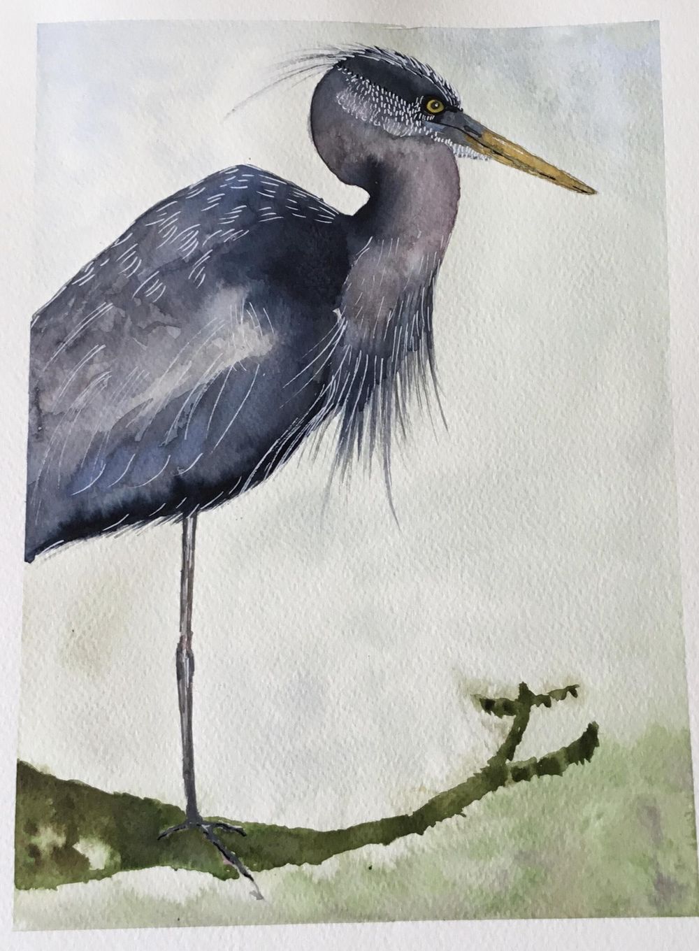 Vivid heron - image 2 - student project