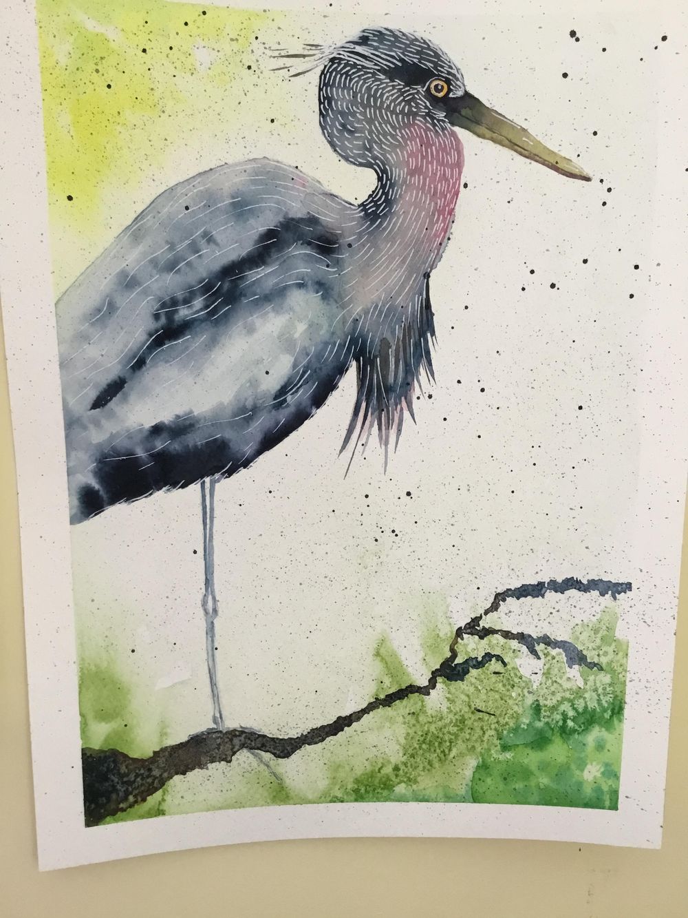 Vivid heron - image 1 - student project
