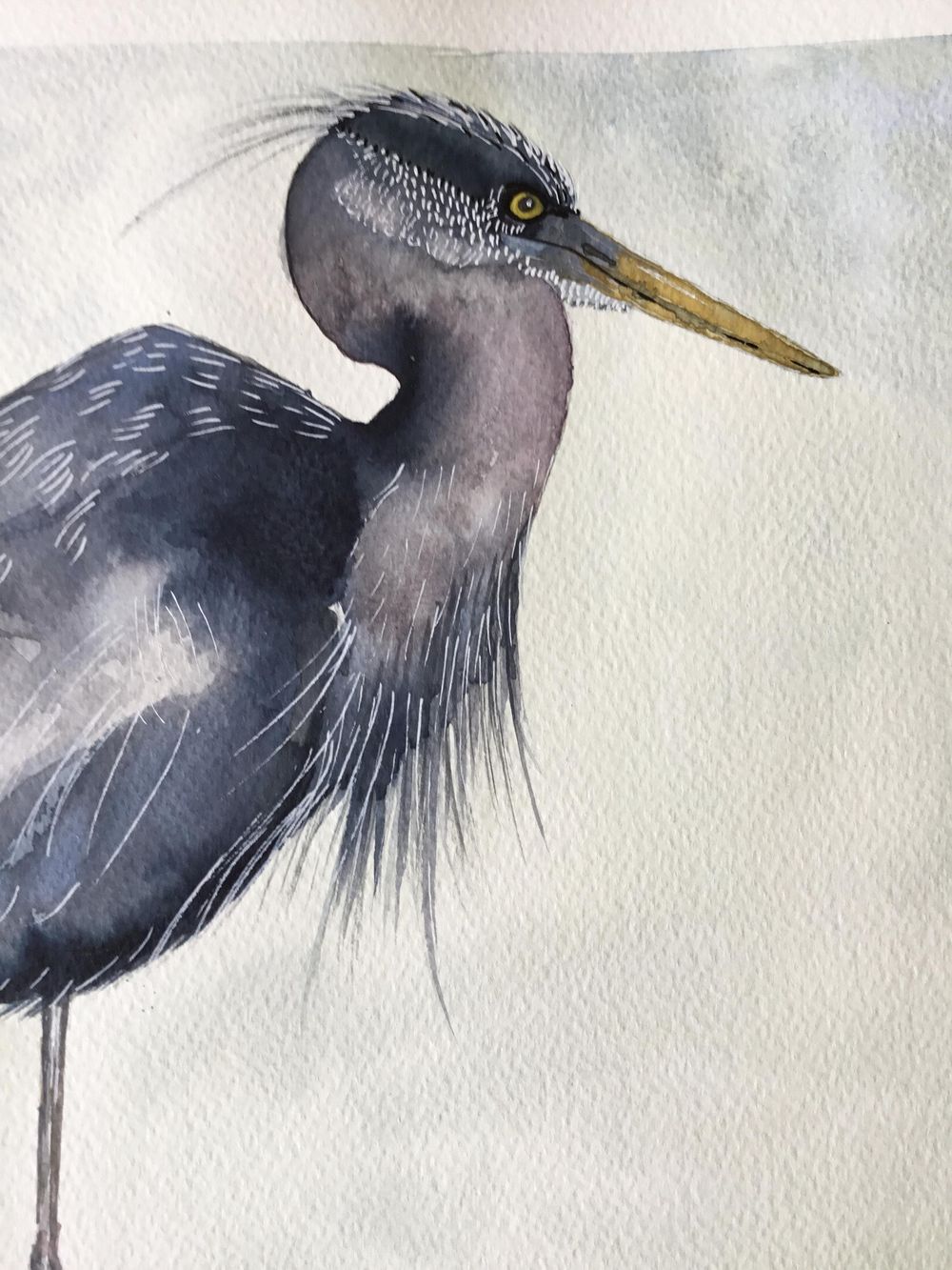 Vivid heron - image 3 - student project
