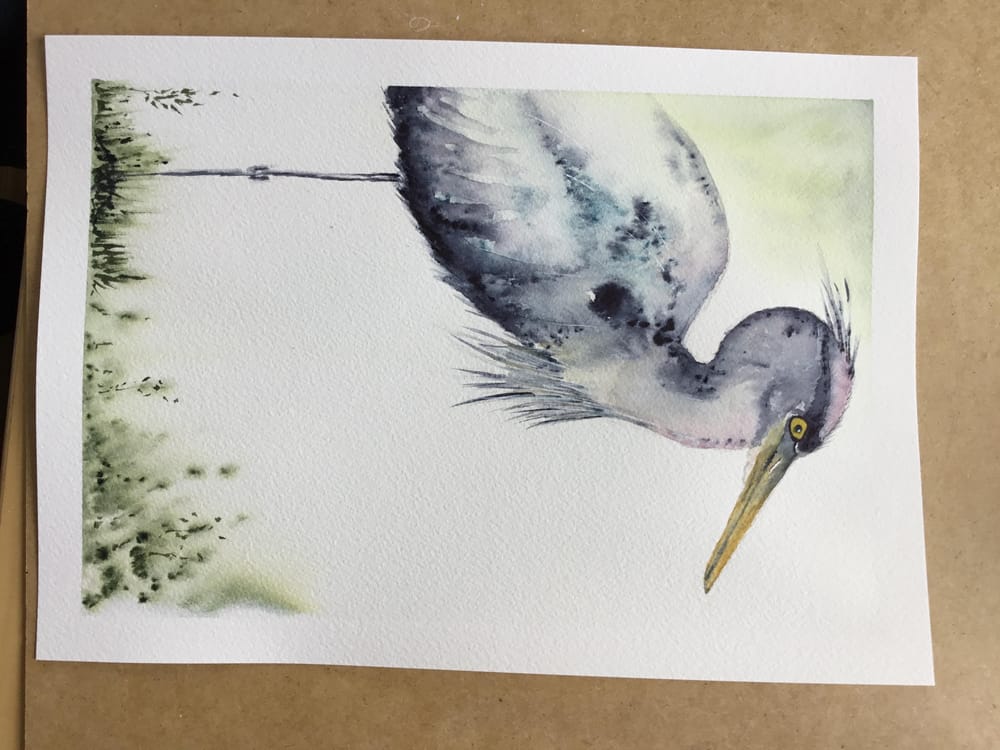 Vivid heron - image 7 - student project