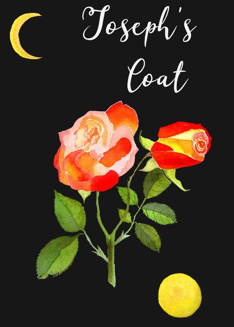 Roses Collection PS Work - image 2 - student project