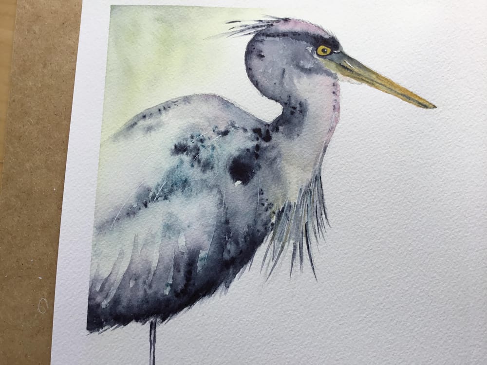 Vivid heron - image 9 - student project