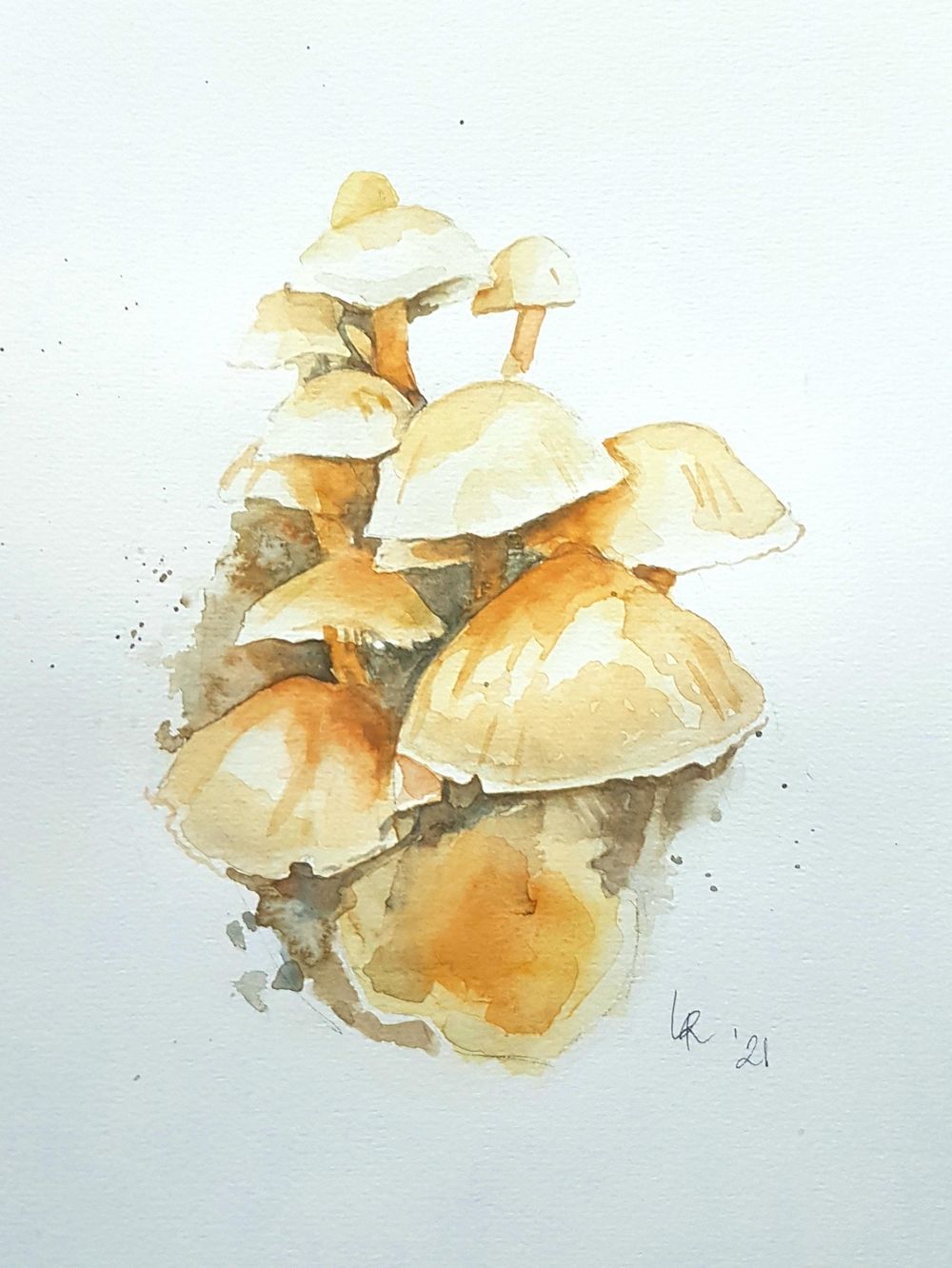 Nature in watercolour - image 3 - student project