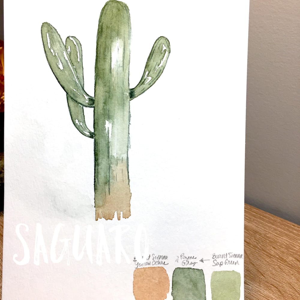 Cacti & Succulents - image 2 - student project