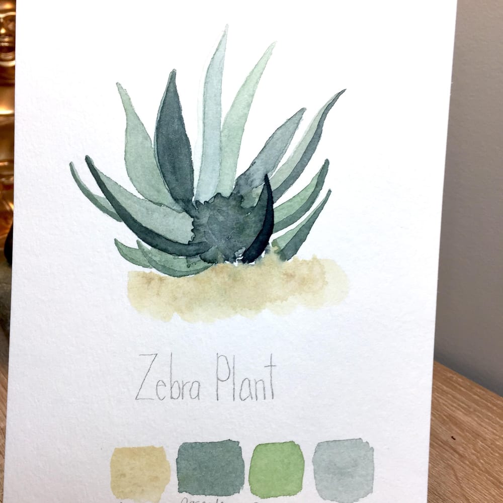 Cacti & Succulents - image 3 - student project