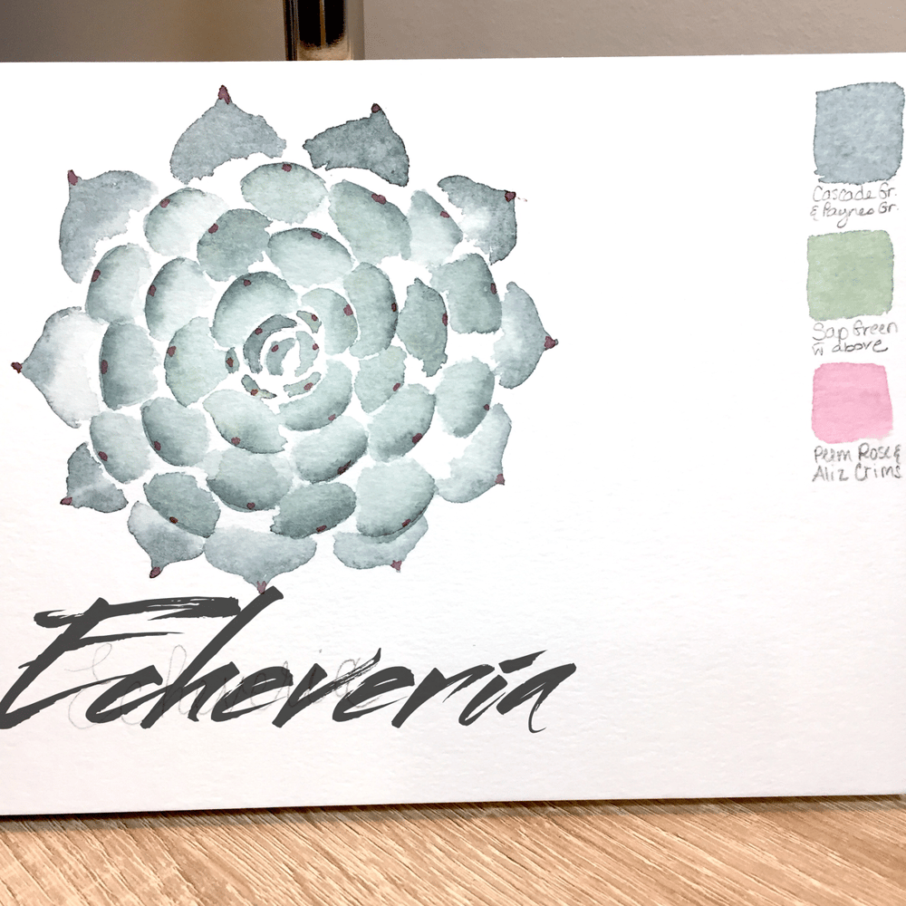 Cacti & Succulents - image 1 - student project