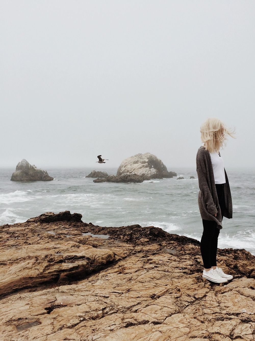 Sutro Baths // San Francisco - image 1 - student project
