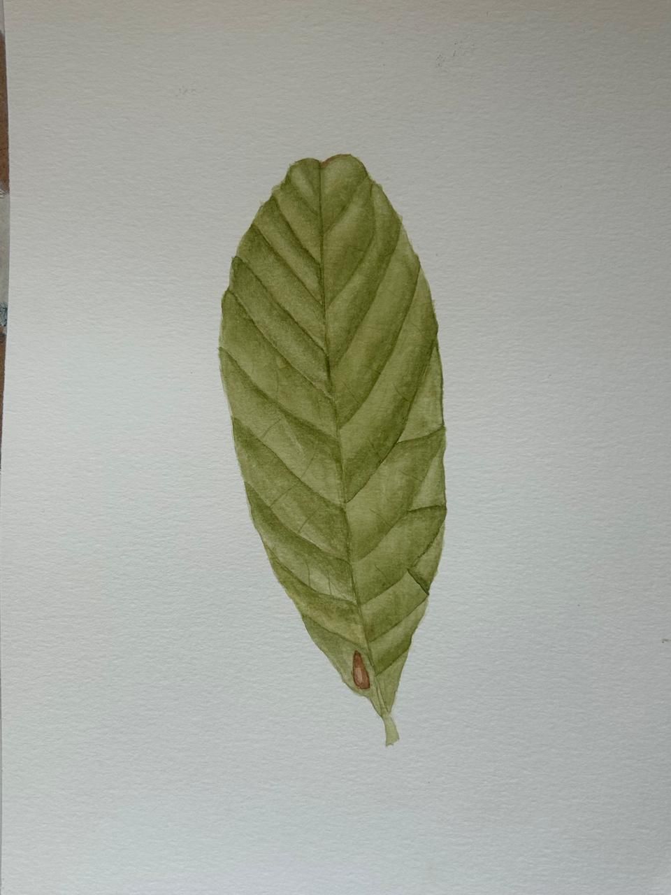 Realistic Leaf - image 1 - student project