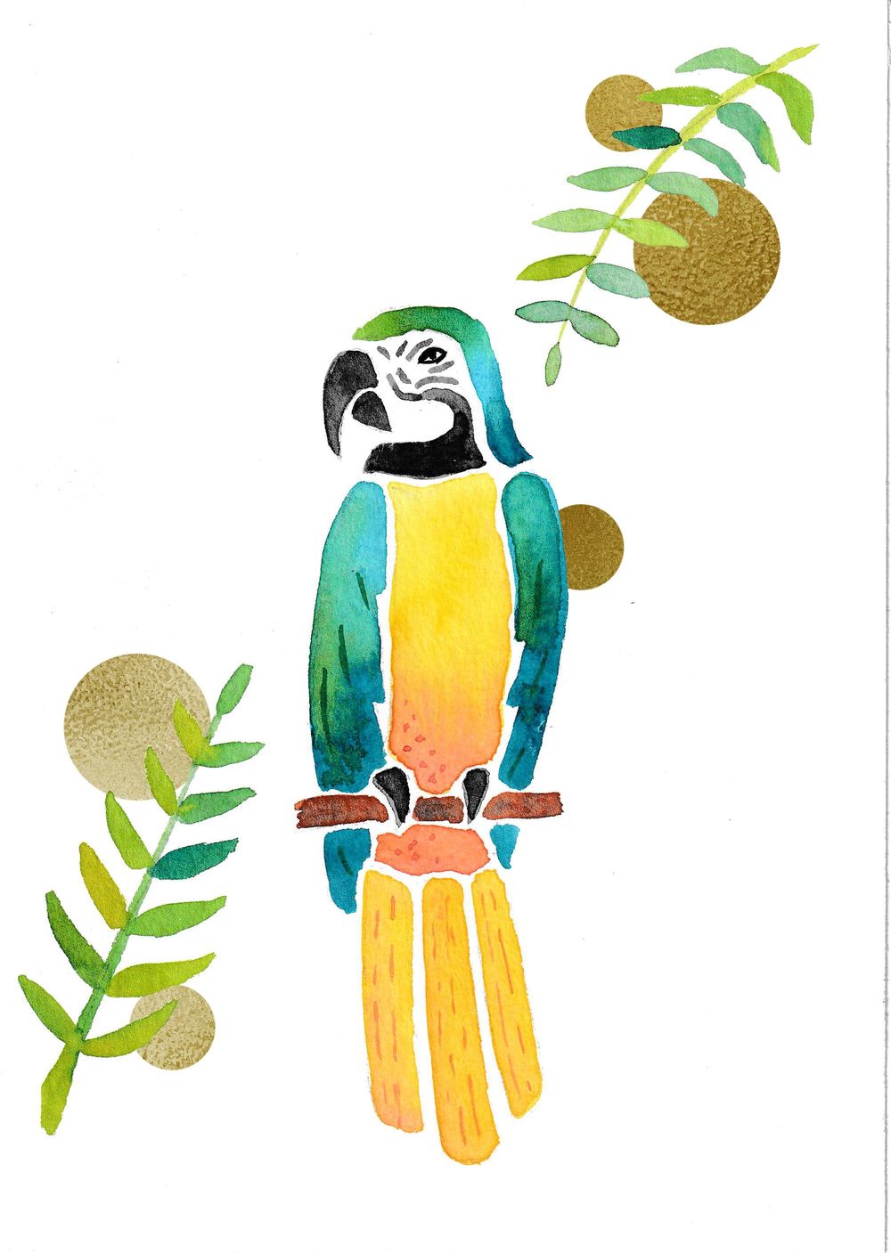 Blue and gold macaw - image 4 - student project