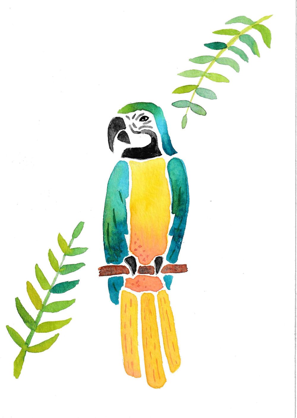 Blue and gold macaw - image 3 - student project