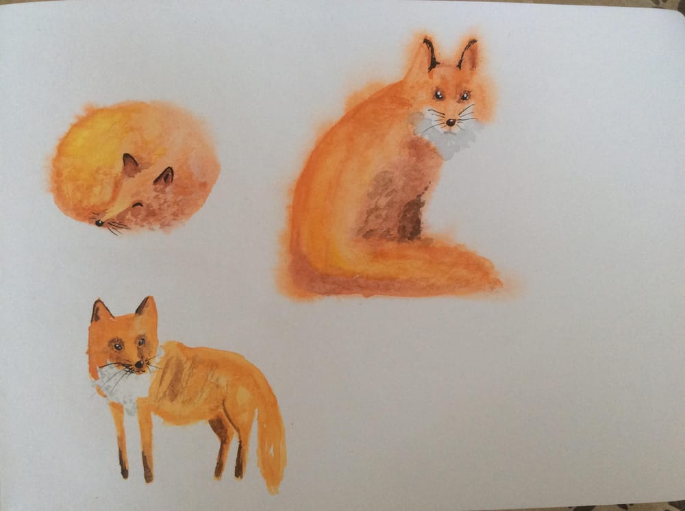 Struggling foxes - image 1 - student project