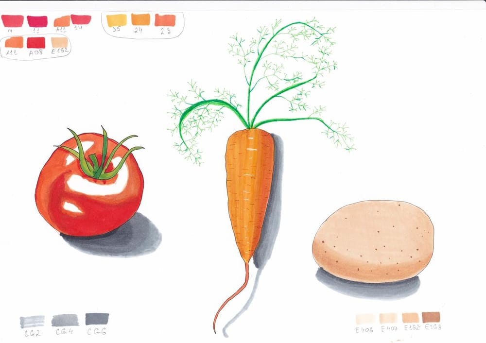 Understanding Markers - image 6 - student project