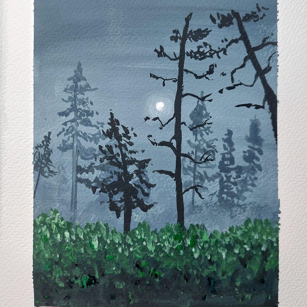 foggy forest - image 1 - student project