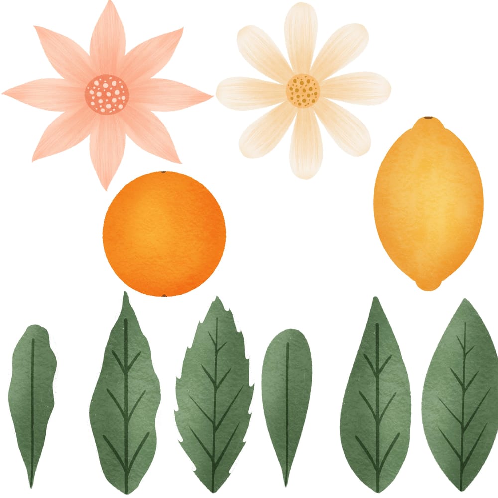 Lemon Blossom - image 1 - student project