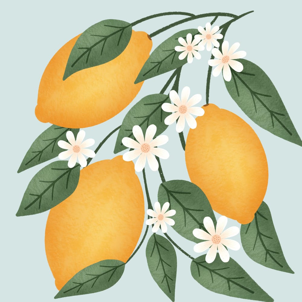 Lemon Blossom - image 2 - student project