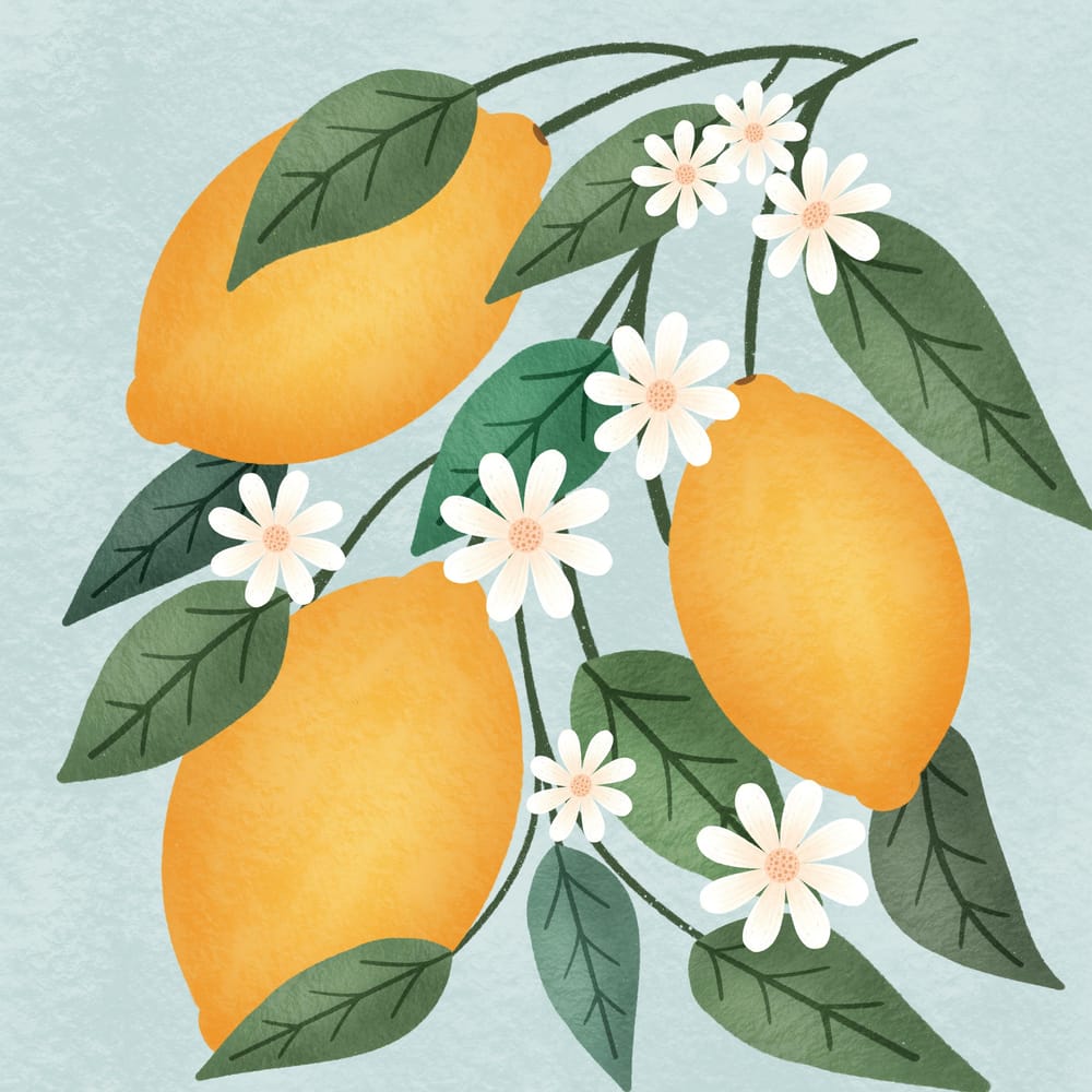 Lemon Blossom - image 3 - student project