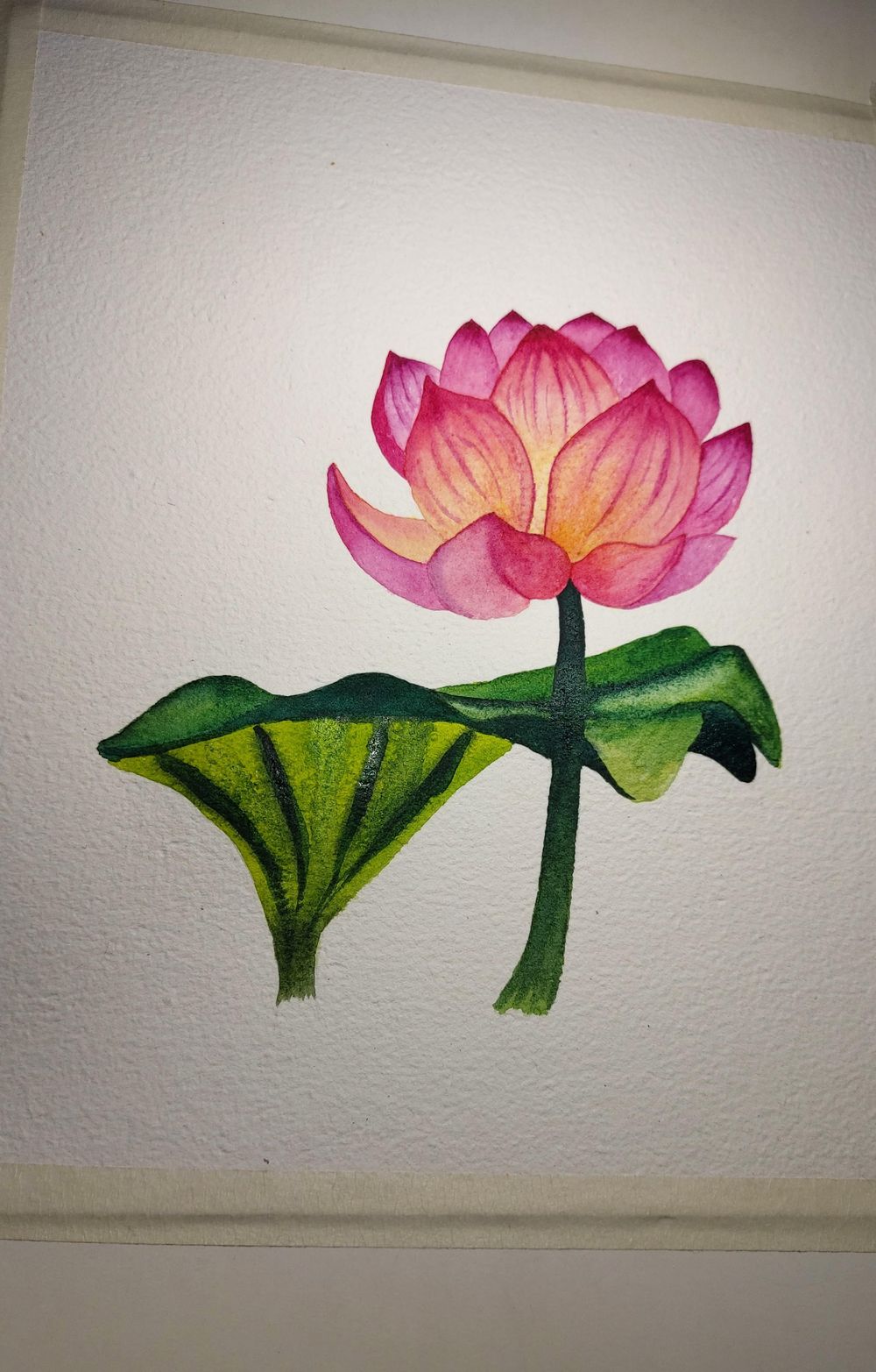 Pink & Purple Flowers - image 5 - student project