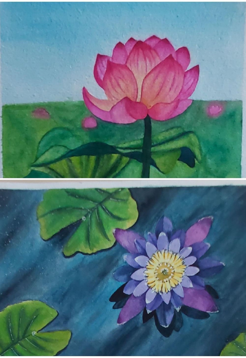 Pink & Purple Flowers - image 1 - student project