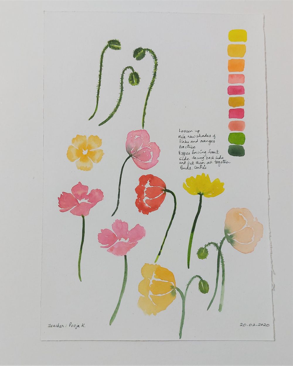 Poppies in Watercolor - image 2 - student project