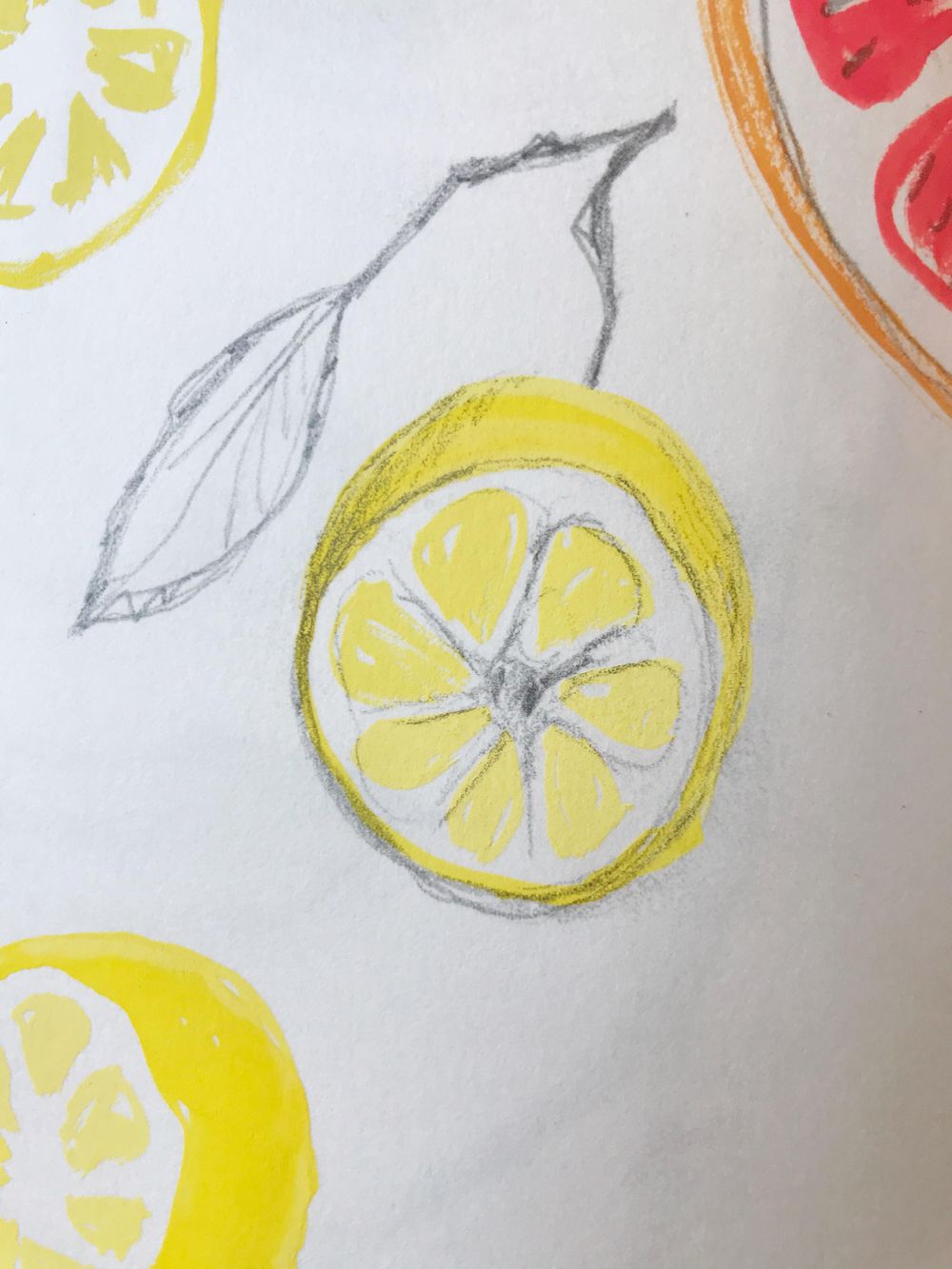 Painting Citrus - image 4 - student project