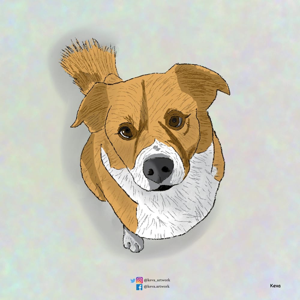 Dodger + The girl - image 1 - student project