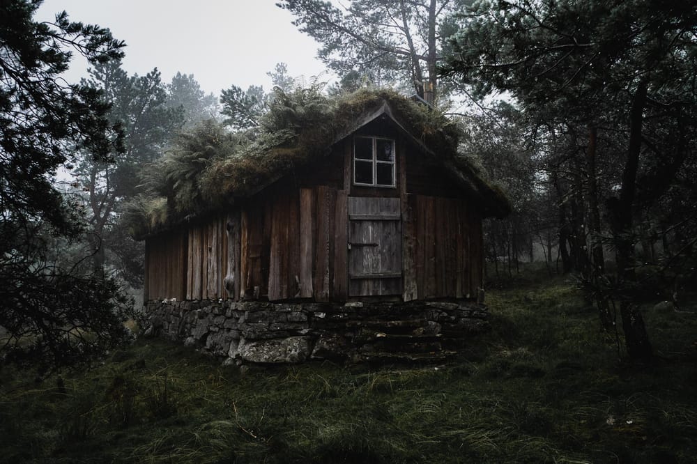 Two Edit for the house - image 2 - student project