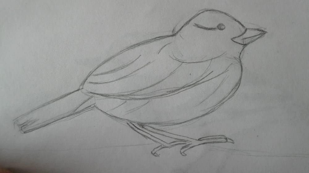 100 Days of Learning How to Draw ( May Update) - image 5 - student project
