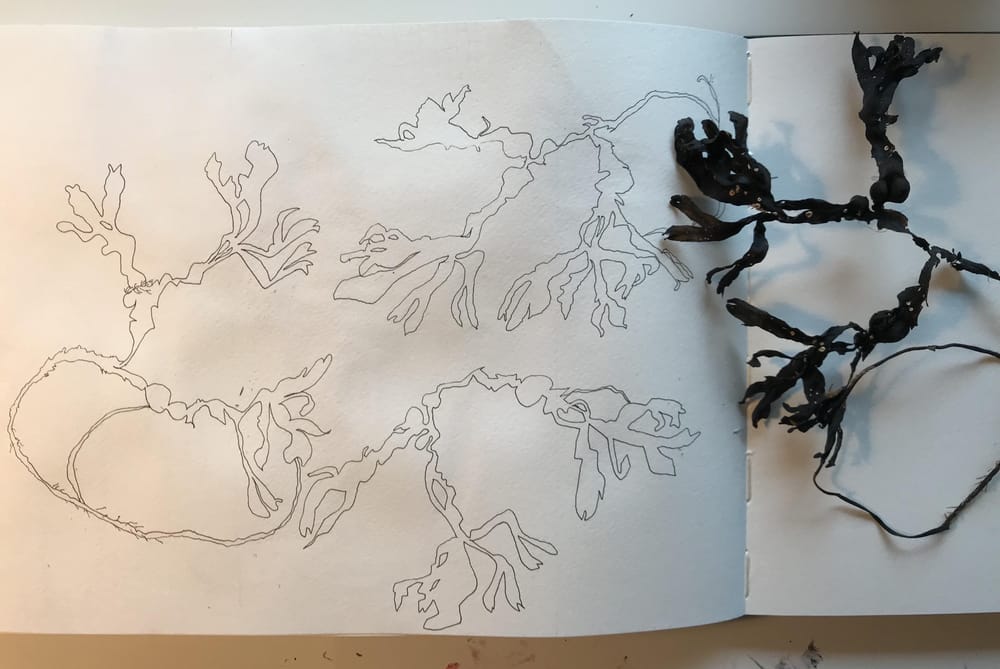 My 14 days of Fearless Art - image 6 - student project