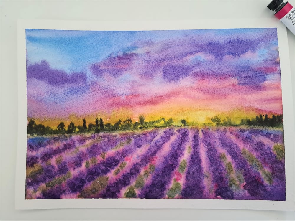 Lavender fields - image 1 - student project