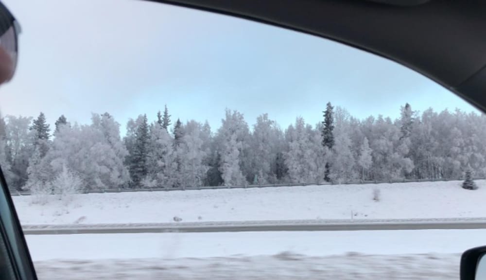 Snowy Trees - image 1 - student project