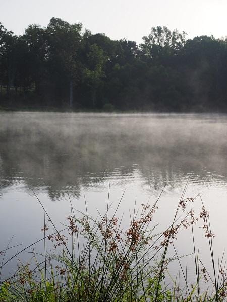 Misty Morning - image 1 - student project