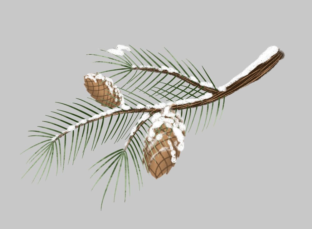 Winter illustrations - image 7 - student project