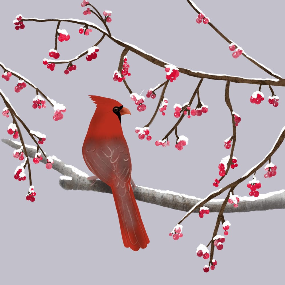Winter illustrations - image 5 - student project