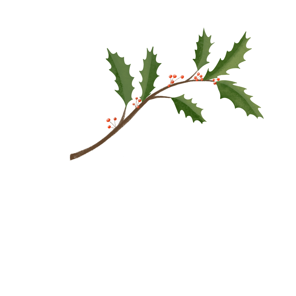 Winter illustrations - image 3 - student project