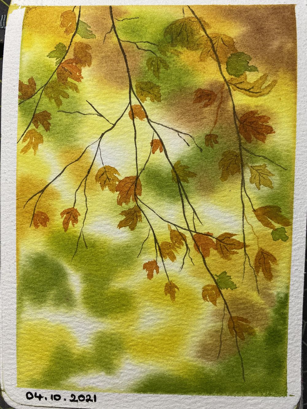 31 days of autumn - image 12 - student project
